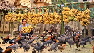 Bring bananas goes to market sell, Selling wild chickens , Vàng Hoa