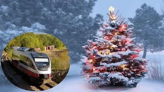 Awesome snowy winter and christmas trees