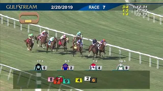 Gulfstream Park February 20, 2019 Race 7