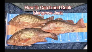 Gold Coast Fishing The Spit - How to Catch Mangrove Jack Fillet And Cook