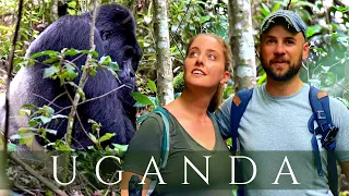 GORILLA Trekking Uganda 🦍