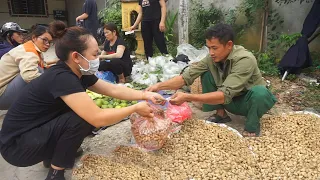 FULL VIDEO - 65 days harvesting potatoes, dragon fruit, guava, and peanuts to sell at the market