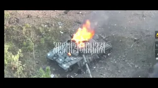 Уничтоженные танки Т-72ЕА, PT-91 Twardy и бронеавтомобиль М113 ВСУ  в Запорожской области.