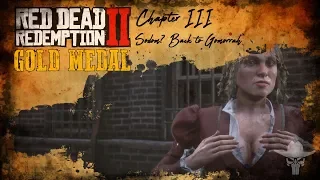 33 - Chapter III, Sodom? Back to Gomorrah [Red Dead Redemption 2, Gold Medal, Walkthrough]