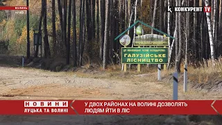 🌲На Волині людям дозволять ходити в ліс, але не всім