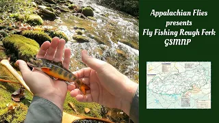 Fly Fishing Rough Fork Great Smoky Mountains National Park