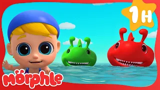 Morphle Is A Shark | Morphle 3D | Monster Cartoon for Kids