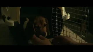 John Wick 1 | Little Puppy Scene