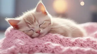 Calming Music for Anxious Cats: Soothing Sounds for Deep Relaxation and Sleep