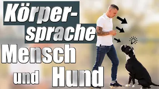 Körpersprache Mensch und Hund - das MUSST du wissen um besser zu FÜHREN