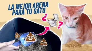 ARENAS PARA GATOS: ¡Y la mejor es…! ✨😼💩⏳ ¿Absorbente, aglomerante, sílice o ecológica?