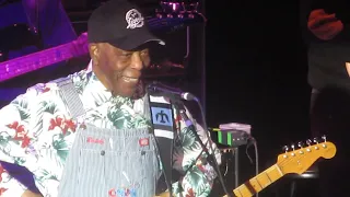 Buddy Guy "Hoochie Coochie Man" at Westbury, NY Sunday April 14, 2024