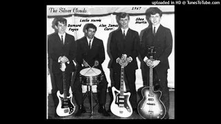 The Silver Clouds - All I Want Is All Your Lovin' - 1960's Garage Band / Alan James