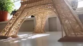 The Eiffel tower model of matches and stirrers