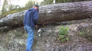 Rock Crawling@ SLAB Fall city