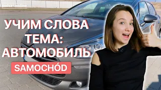 Выучите 30 польских слов по теме  автомобиль!