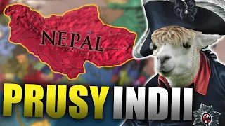 OWCA w PRUSKIEJ skórze ZOBACZ JAK? | EU4 NEPAL GUIDE PL