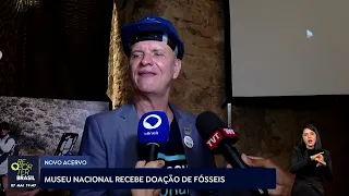 Museu Nacional recebe doação de fósseis