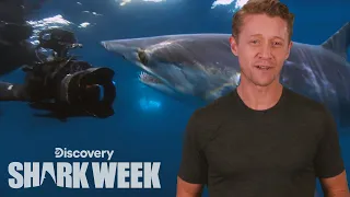 The Best Shark Paparazzi | Shark Week's The Daily Bite