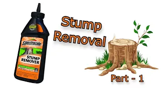 Spectracide Stump Removal - Part 1