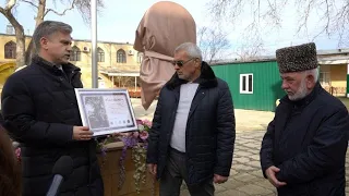 283-летний платан в Дербенте признан «Российским деревом года-2020»