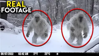 TERRIFYING Trail Camera You Need to See