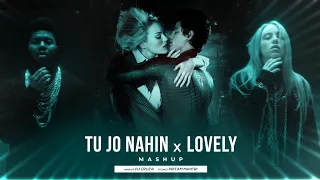 Tu Jo Nahi Hai X Lovely (Mashup) | By DJ Cruz R | Vicky Singh, Billie Eilish, Khalid |Chillout| 2023