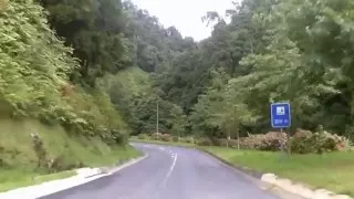 Estrada da Ribeira Quente - Açores