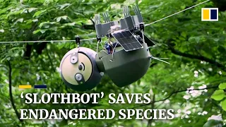 ‘Slothbot’ saves endangered species by moving slowly to see the big environmental picture