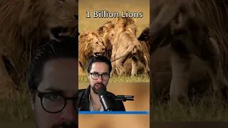 1 Billion Lions VERSUS 1 of Every Pokemon