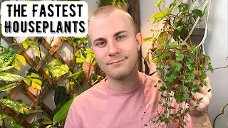 The Fastest Growing Houseplants