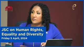 19th Meeting - JSC Human Rights, Equality and Diversity - April 3, 2024 - Child Labour