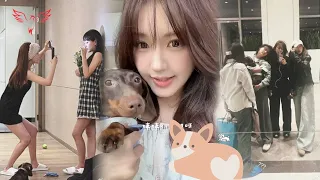 Zhao Lusi shows off home-cooked meals with friends on social media and takes photos with her dog