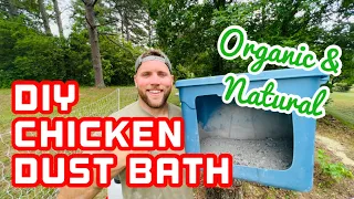 How to Make a Chicken Dust Bath With NATURAL Ingredients