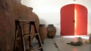 Do as the Romans do: ancient winemaking techniques.