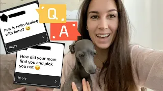 Life with an ITALIAN GREYHOUND | Our first Q&A