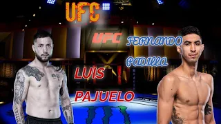 FERNANDO PADILLA VS LUIS PAJUELO | DEEPDIVE: UFC FIGHT NIGHT RIBAS VS NAMAJUNAS