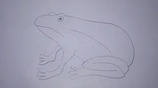 Cara Menggambar Katak Dengan Mudah - Tutorial Menggambar