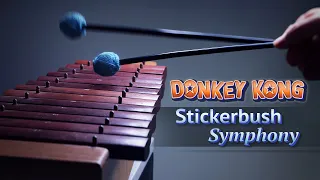 Donkey Kong - Stickerbush Symphony 🎨