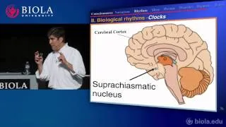 [PSYC200] 15. Consciousness Part 1: Variations and Rhythms