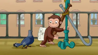 Curious George's Home For Pigeons - Curious George | WildBrain