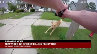 Lorain Police release bodycam of family’s pet dog shot and killed by officer