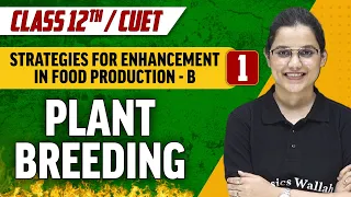 Strategies For Enhancement In Food Production-B 01 | Plant Breeding |Class 12th/CUET