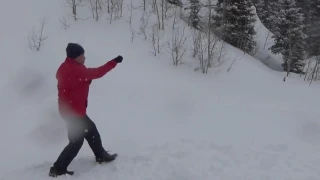 形意拳五行 Xingyiquan Five- 黃連順 ( Hyatt 滑雪度假勝地 零下28°)