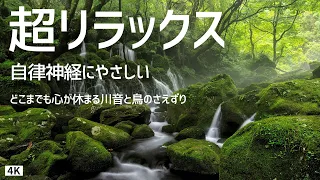 【超リラックス】自律神経にやさしい 川のせせらぎと小鳥のさえずり 3H 心が安らぐ 睡眠用 作業用 睡眠導入 疲労回復