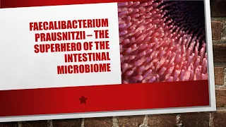 Faecalibacterium prausnitzii: The Unsung Superhero of the Gut