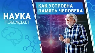 Память человека: как мозг сохраняет информацию | Наука побеждает