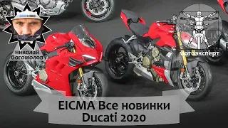 Самый мощный нейкед Streetfighter V4 и другие новинки Ducati на выставке EICMA 2019