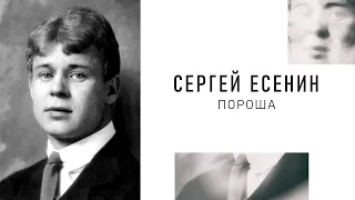 Сергей Есенин — Пороша: Стих (Аудио стихи слушать)