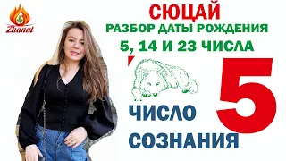 ЧИСЛО СОЗНАНИЯ 5 | СЮЦАЙ (Жанат Кожамжаров)